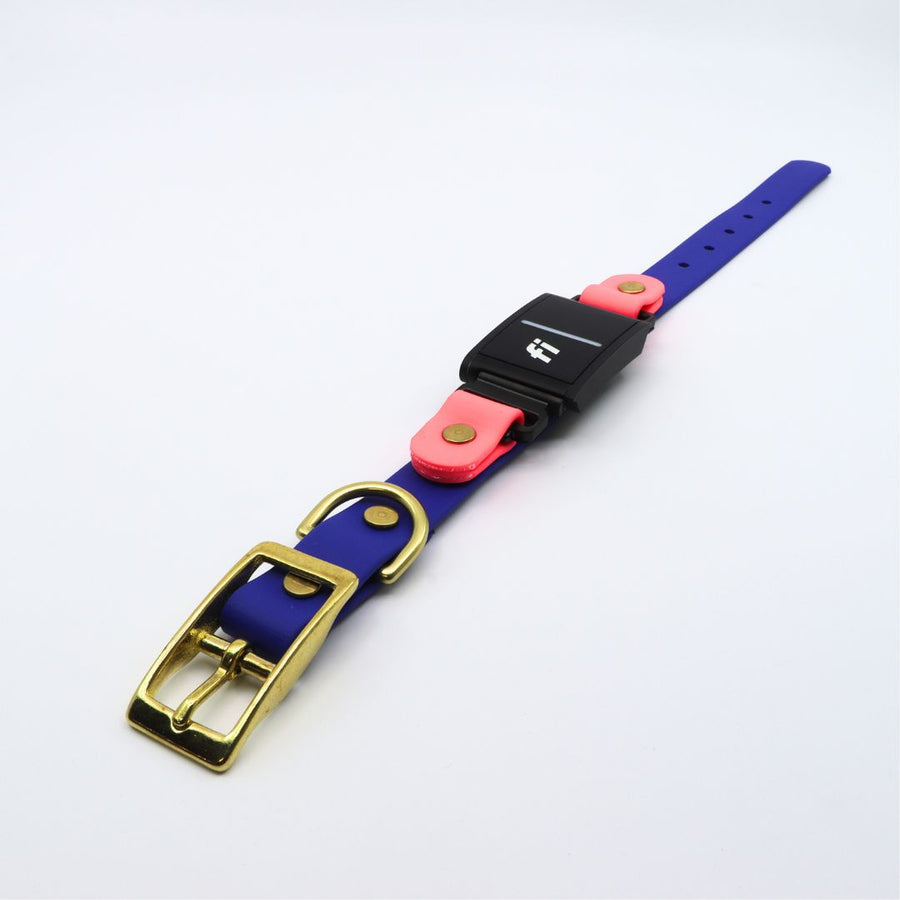 Blue and coral Biothane Dog collar for Fi Series 3 with brass hardware