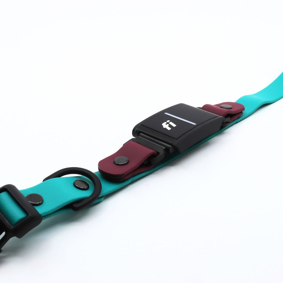 teal and plum biothane dog collar for the Fi Series 3 in our sport layered design  laying flat