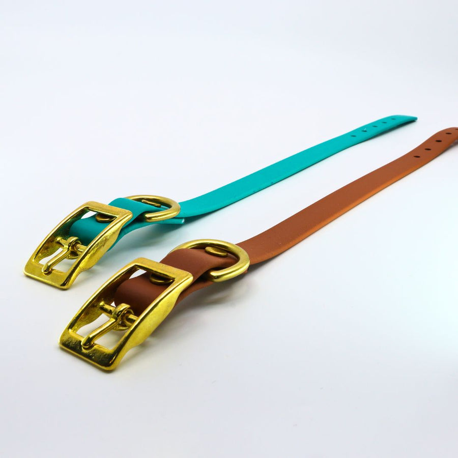two brass hardware classic biothane collars for small dogs laying flat