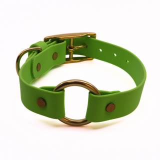 Pre Made O Ring Brass Collar - 1" Width - Medium (Fits 12-16") - Green Apple