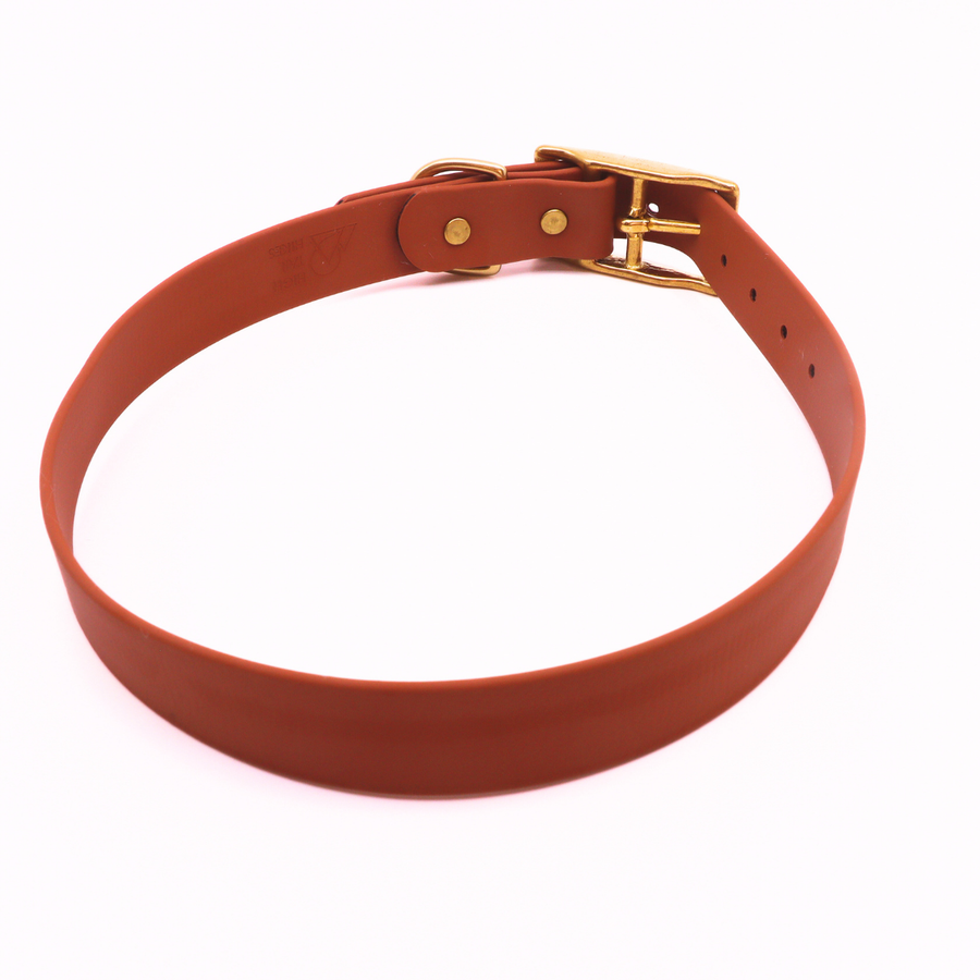 Pre Made Brass Collar - 1" Width - Extra Large (Fits 20-25") - Caramel