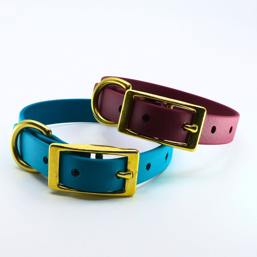 two small classic biothane collar for small dogs with brass hardware