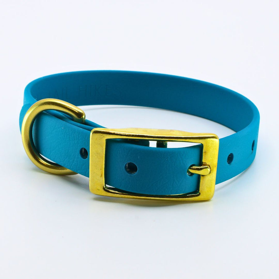 classic biothane collar for small dogs with brass hardware