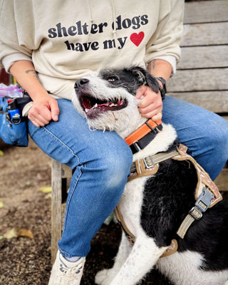 Shelter Dogs Have My Heart Hoodie