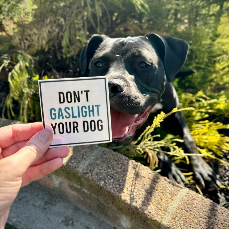 Don't Gaslight Your Dog Square Sticker