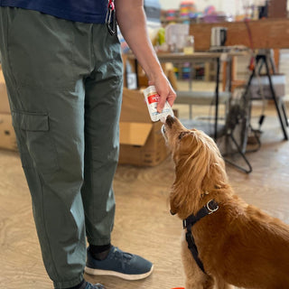 person offering the brown dog a bark pouch dog treat while the dog is taking a lick.