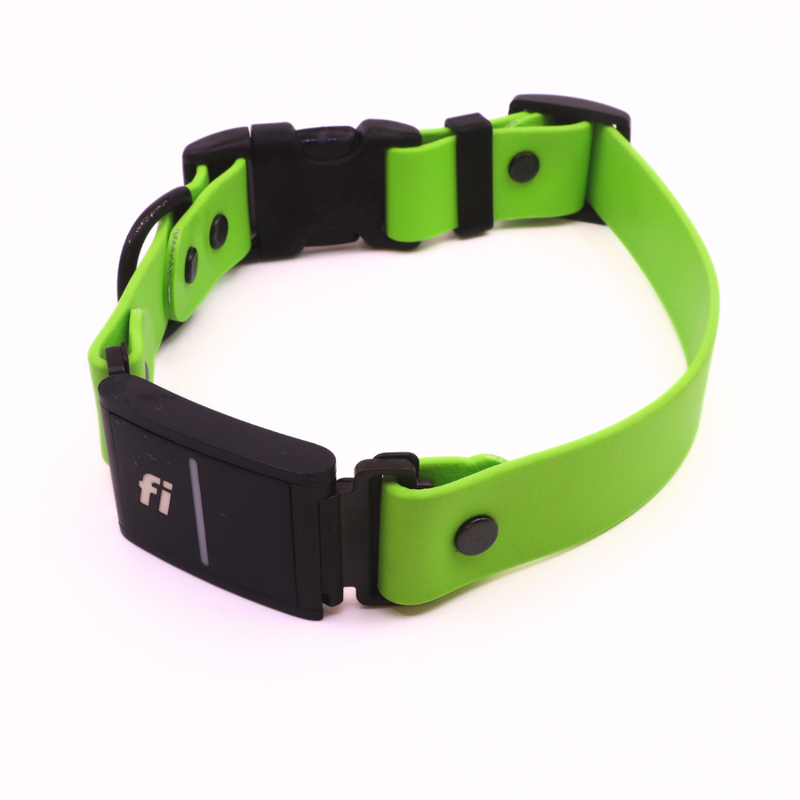 Pre Made Sport Fi Series 3 Integrated Collar - 1" Width - Medium (Fits 15-17") - Green Apple