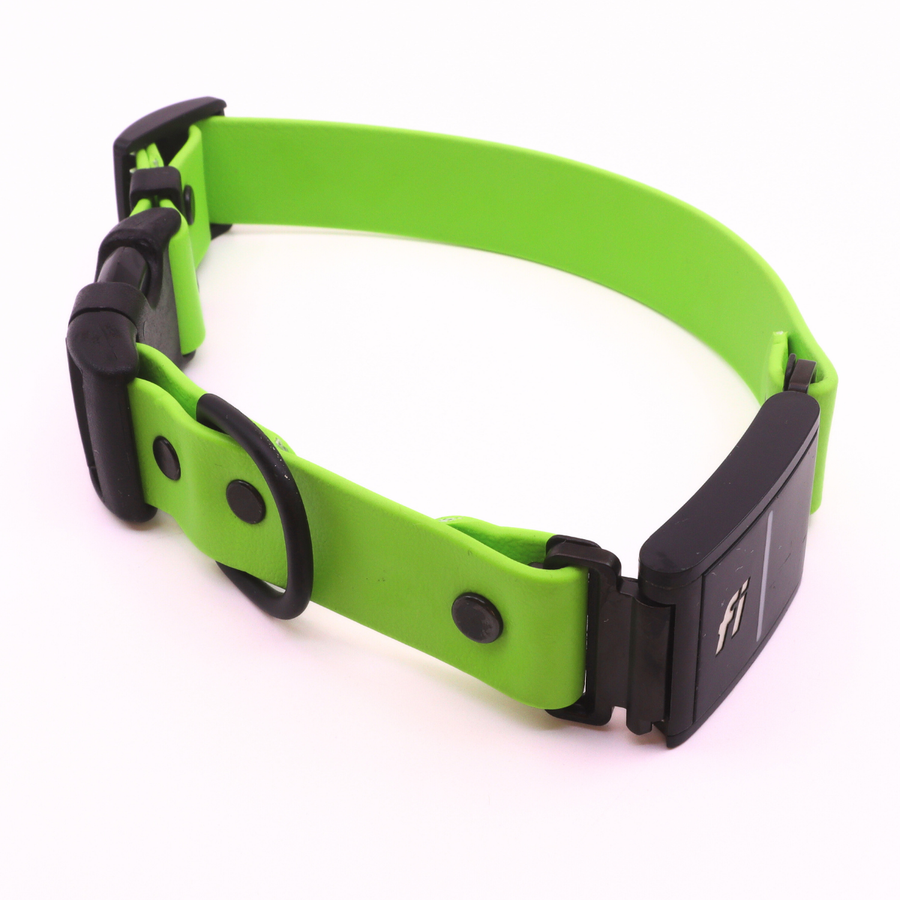 Pre Made Sport Fi Series 3 Integrated Collar - 1" Width - Medium (Fits 15-17") - Green Apple