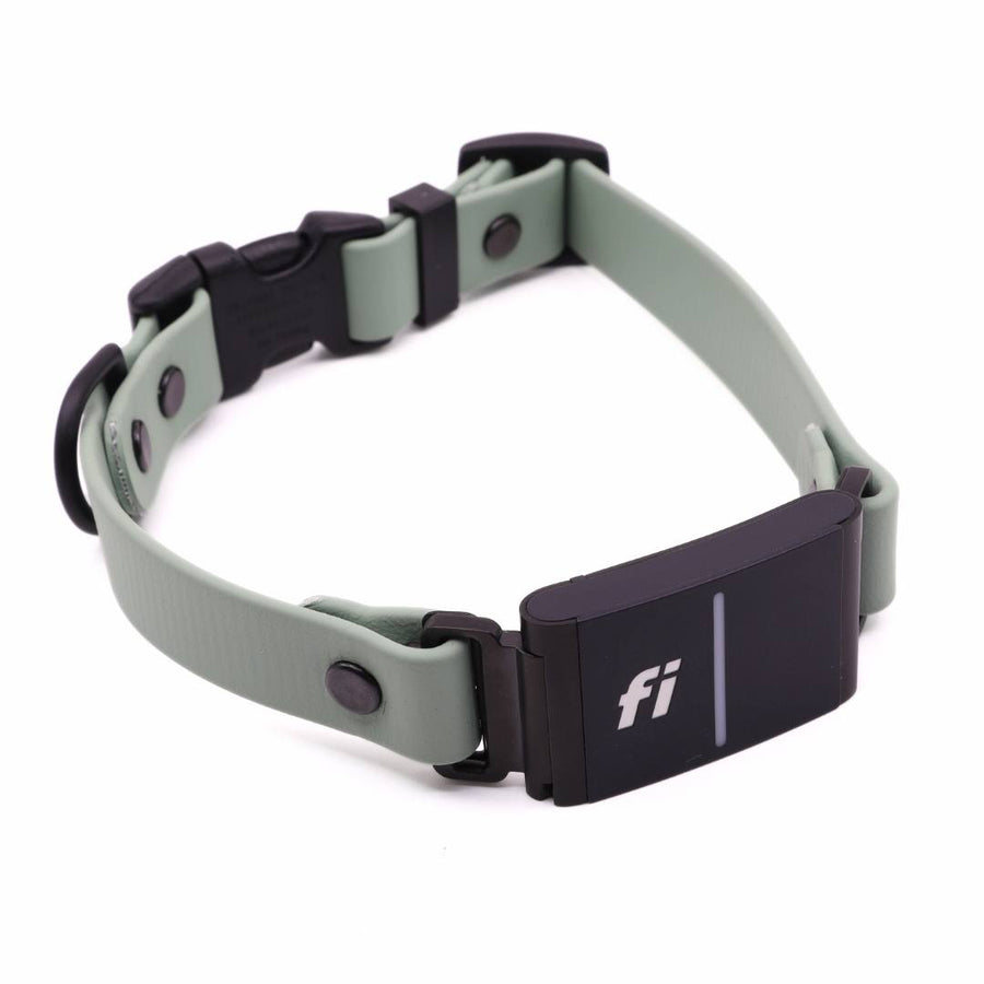 Pre Made Sport Fi Series 3 Integrated Collar - 3/4" width - Small (Fits 13-15") Sage