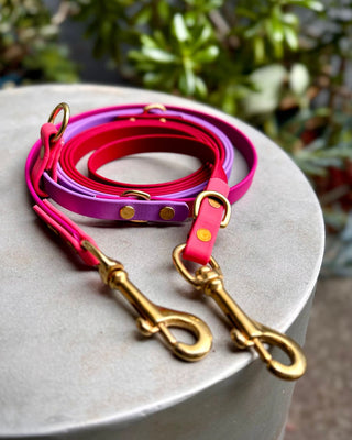 2026 Limited Edition Multiway Hands Free Love Leash