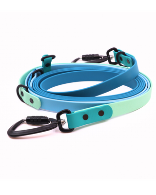2026 Water Dog Limited Edition Hands Free Multiway Leash