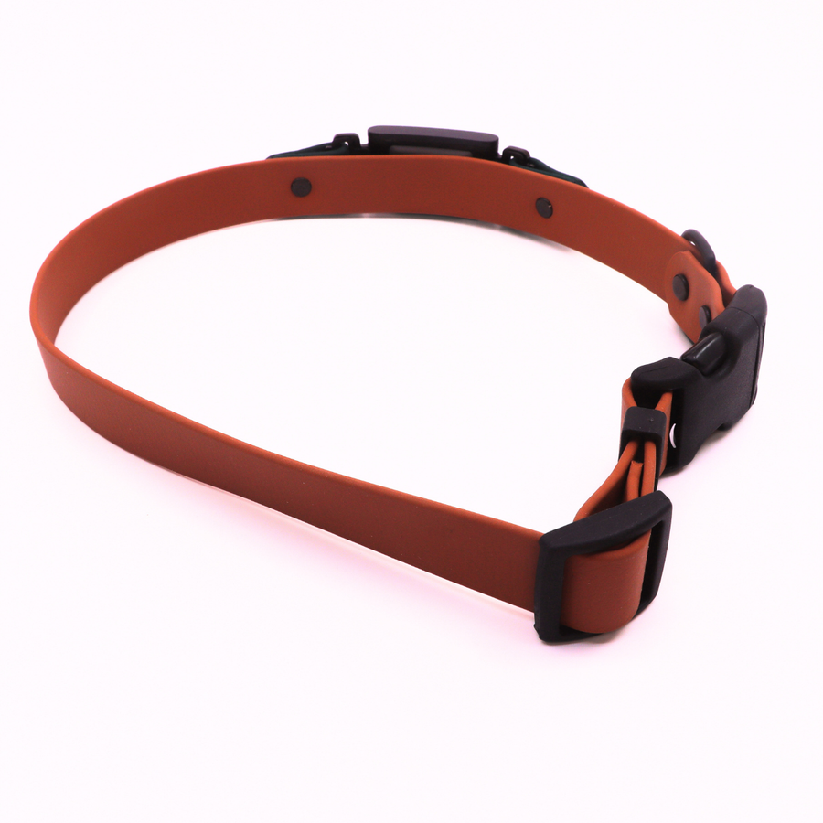 Pre Made Sport Fi Series 3 Layered Collar - 1" Width - X Large (Fits 20-25") - Caramel with Forest Green