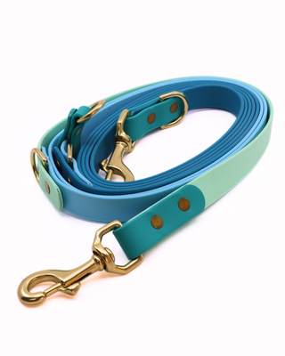 2026 Water Dog Limited Edition Hands Free Multiway Leash