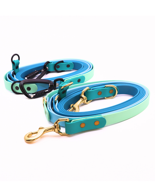 2026 Water Dog Limited Edition Hands Free Multiway Leash