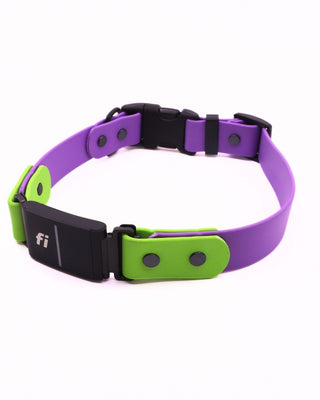 Fi Series 3/3+ BioThane Collar - Sport Integrated Design