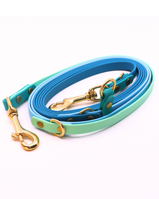 2026 Water Dog Limited Edition Hands Free Multiway Leash