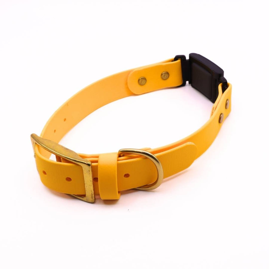 Pre Made Brass Fi Series 3 Integrated Collar - 1" Width - Fits 15-20" Goldenrod with Goldenrod Strap Keeper