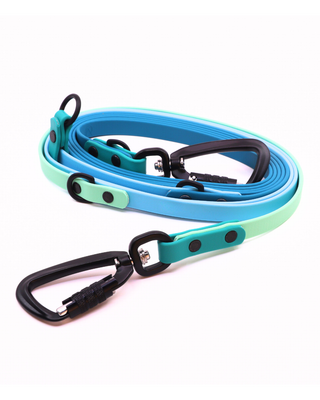 2026 Water Dog Limited Edition Hands Free Multiway Leash