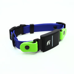 blue and green apple biothane collar for the Fi Series 3 Sport Layered Design on white background