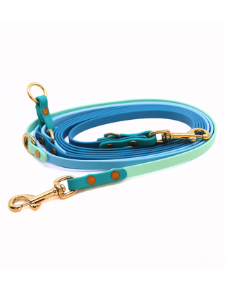 2026 Water Dog Limited Edition Hands Free Multiway Leash