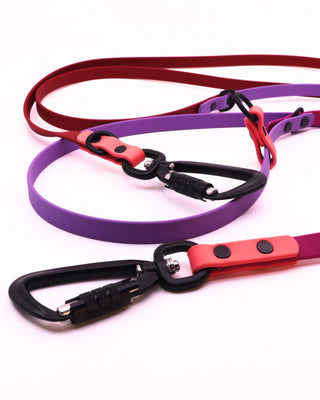 2026 Limited Edition Multiway Hands Free Love Leash