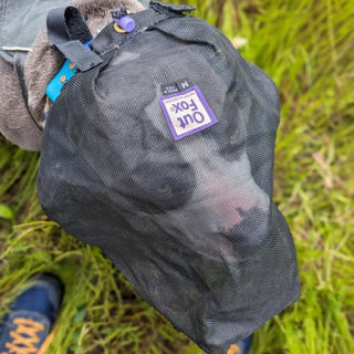 OutFox Field Guard
