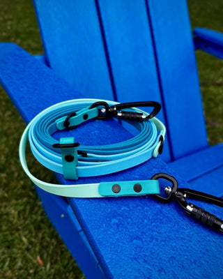 2026 Water Dog Limited Edition Hands Free + Convertible Leash