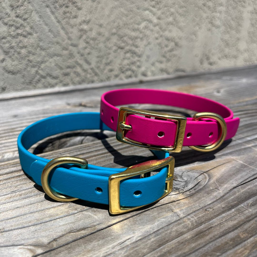 teal and blue classic biothane collars for small dogs with brass hardware laying on wood table