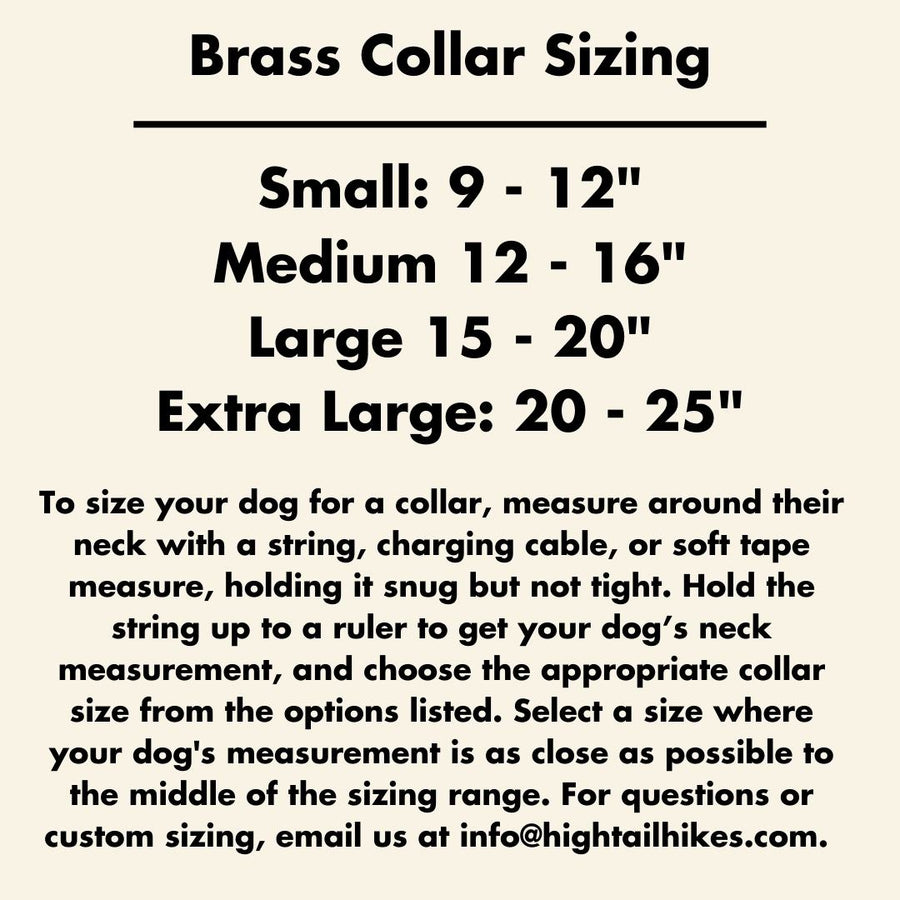 BioThane Collar - Classic Brass