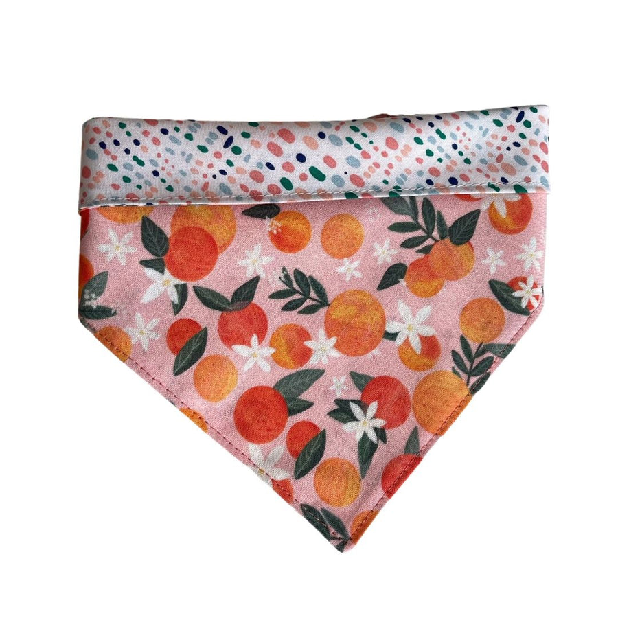 Misty Made This dog bandana in peaches and cream print