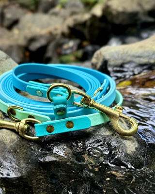 2026 Water Dog Limited Edition Hands Free + Convertible Leash