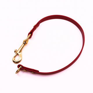 Pre Made Leash Extender - Brass - Medium 1/2" width - 18" - Chili Red