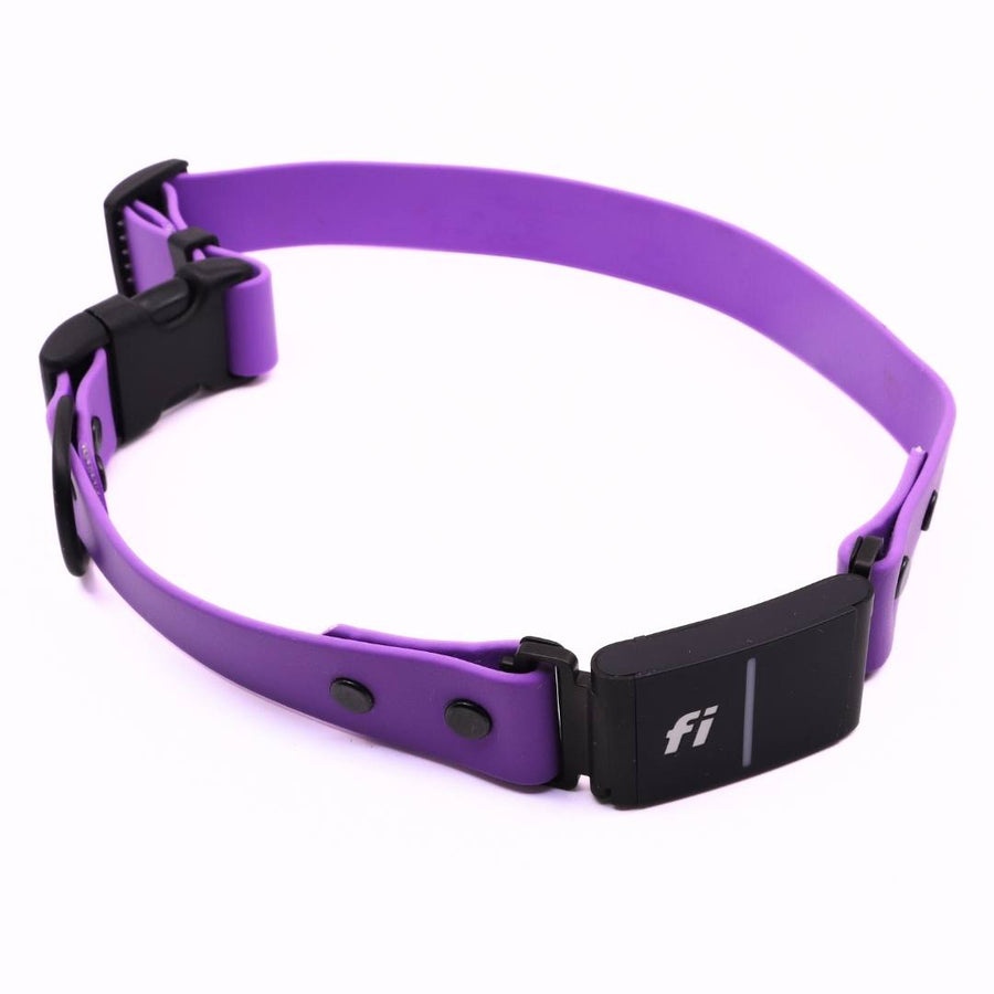 Pre Made Sport Fi Series 3 Integrated Collar - 1" Width - Extra Large (Fits 20-25") - Lavender