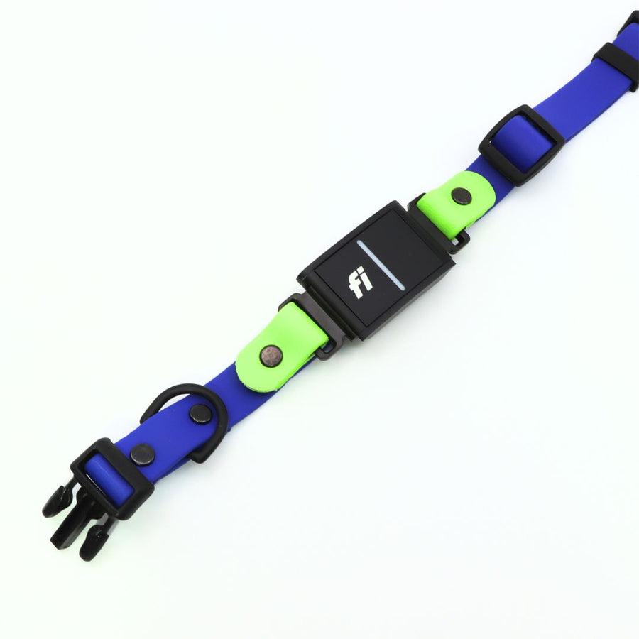 blue and green apple biothane collar for the Fi Series 3 Sport Layered Design on white background laying flat