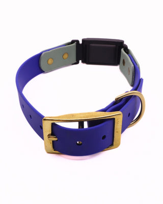 Fi Series 3/3+ BioThane Collar - Brass Integrated Design