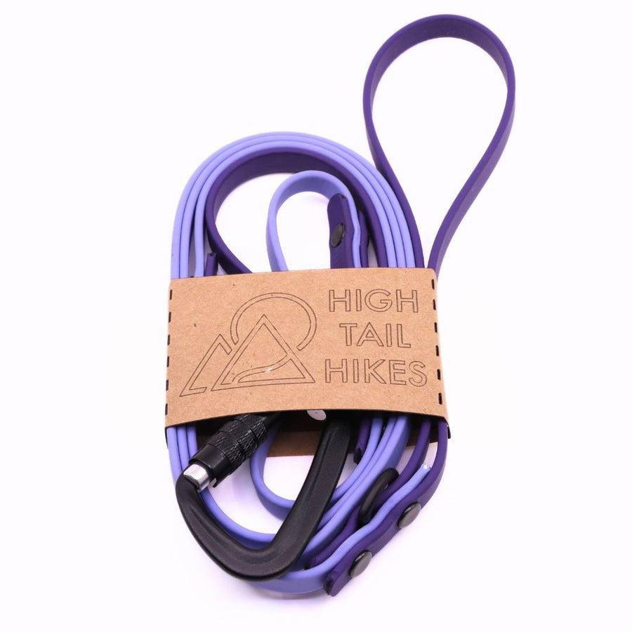 Pre Made Sport Leash - Small- (3/8") - 5 ft - Standard Loop Handle - Periwinkle with Violet - Traffic Handle at 12"