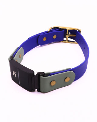 Fi Series 3/3+ BioThane Collar - Brass Integrated Design
