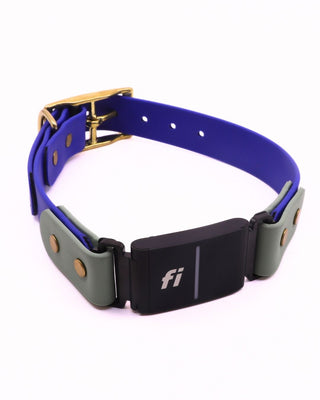 Fi Series 3/3+ BioThane Collar - Brass Integrated Design