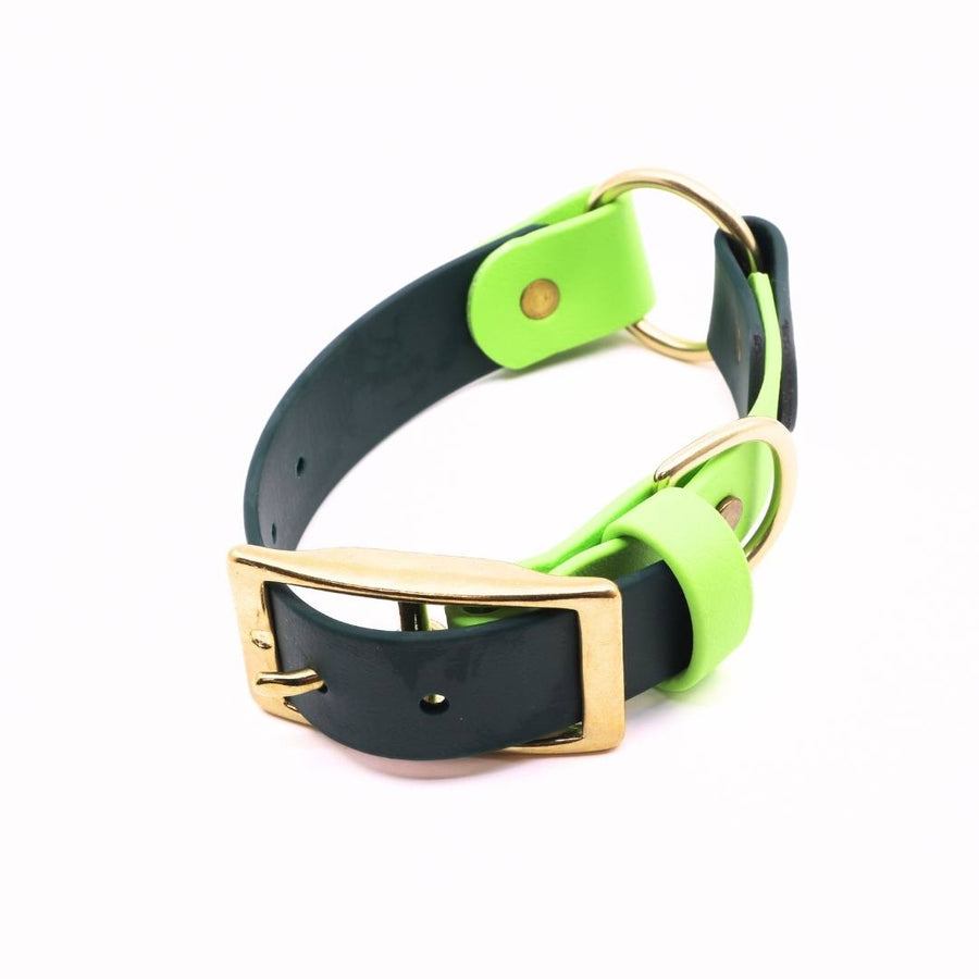 Pre Made Brass O-Ring Collar - 1" Width (Fits 9-12") - Forest Green with Green Apple Keeper Strap