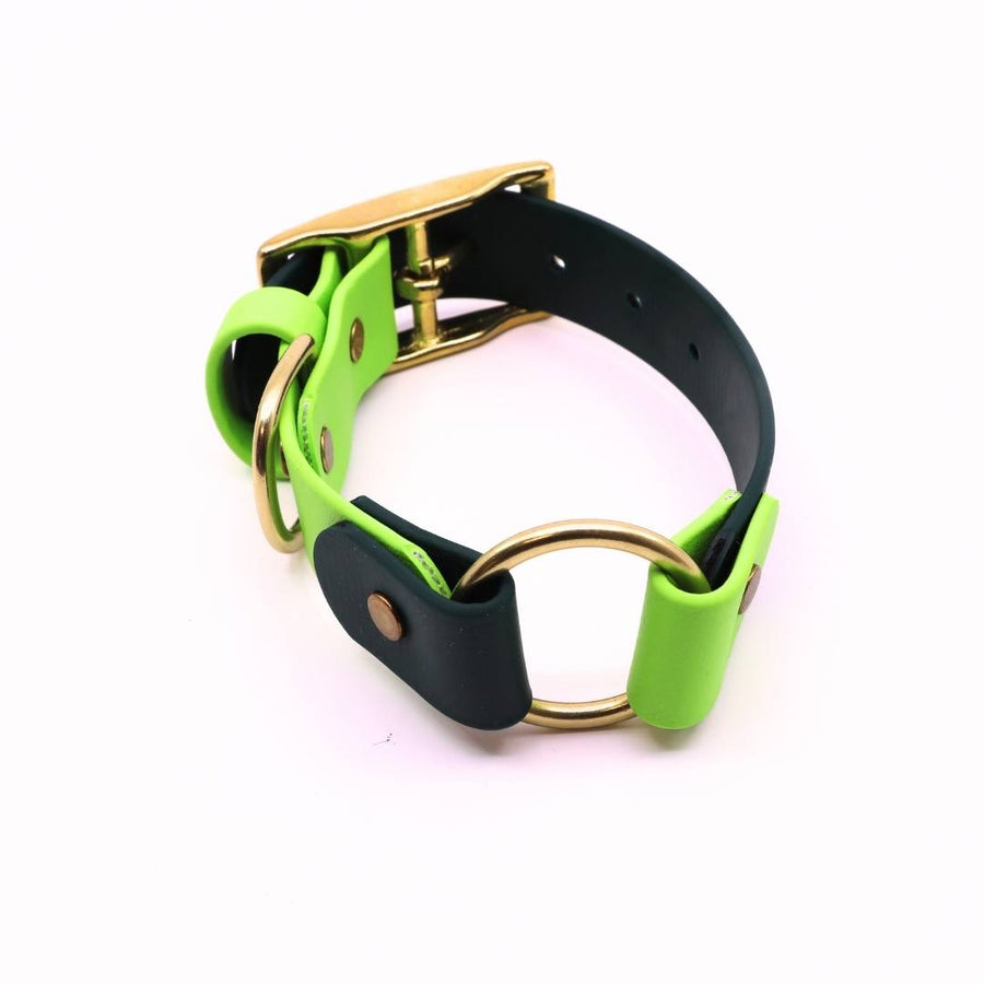 Pre Made Brass O-Ring Collar - 1" Width (Fits 9-12") - Forest Green with Green Apple Keeper Strap