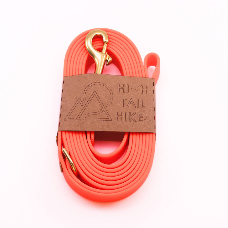 Pre Made Brass Leash - Large (3/4") - 8 ft - Loop Handle w/ D-Ring - Persimmon
