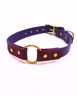 BioThane O Ring Collar - Classic Brass