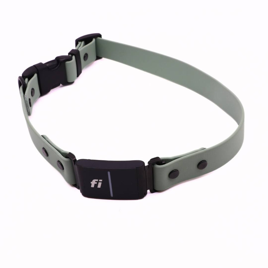 Pre Made Sport Fi Series 3 Integrated Collar - 1" width - Extra Large (Fits 20-25") - Sage