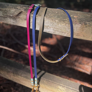 Fall Multiway Hands Free Leash