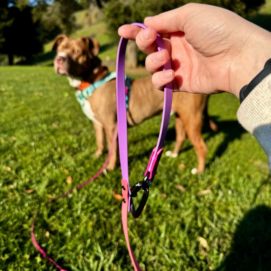 Hands Free + Convertible LOVE Leash