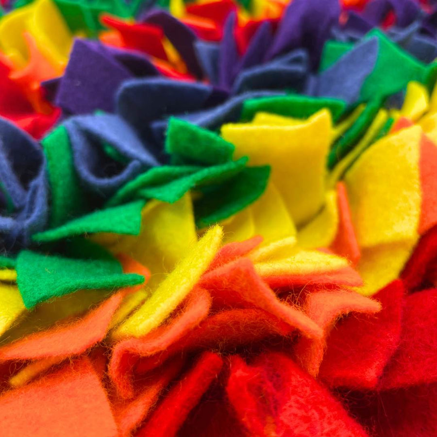 The Rainbow Snuffle Mat (Med/Large)