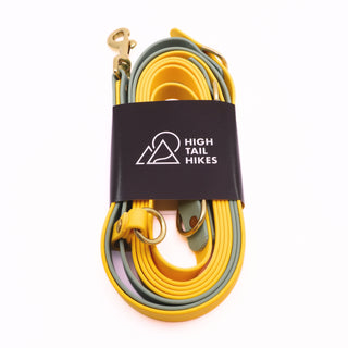 Pre Made Multiway Hands Free Leash - Brass - Large (3/4") - 10 ft - Goldenrod with Sage