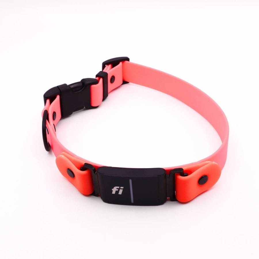 Pre Made Sport Fi Series 3 Layered Collar - 1" width - Large (Fits 17-20") Flamingo with Persimmon