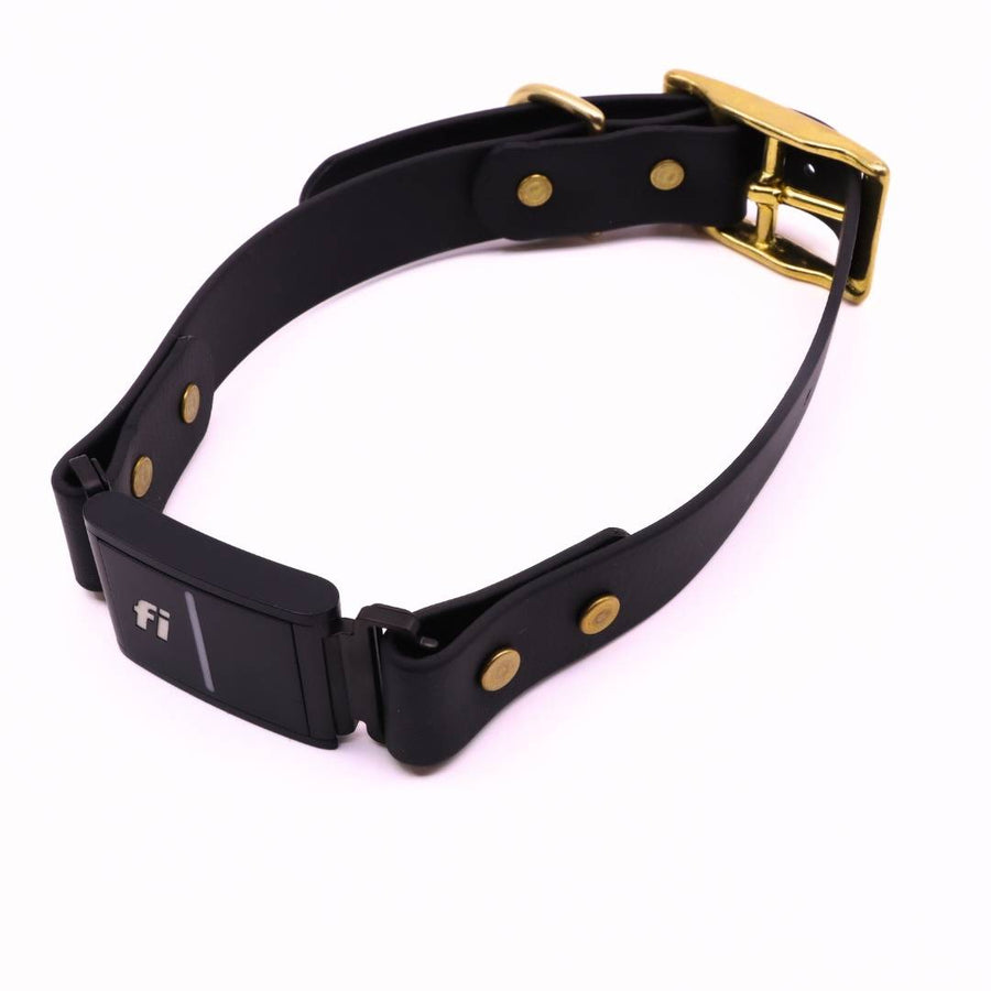 Pre Made Brass Fi Series 3 Integrated Collar - 1" Width - Fits 15-20" - Black