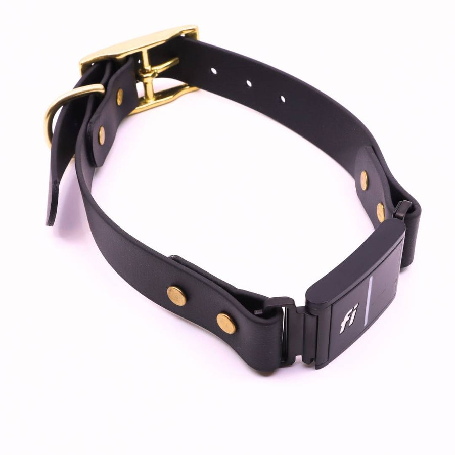 Pre Made Brass Fi Series 3 Integrated Collar - 1" Width - Fits 15-20" - Black